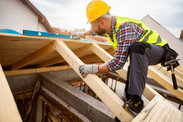 Best Roof Gutter Cleaning  in Live Oak, FL